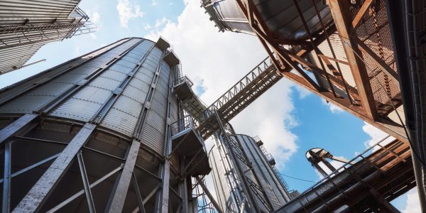 Agricultural Silos. Building Exterior. Storage and drying of grains, wheat, corn, soy, sunflower against the blue sky with white clouds.